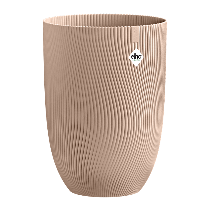 sereh haut 40cm argile froide